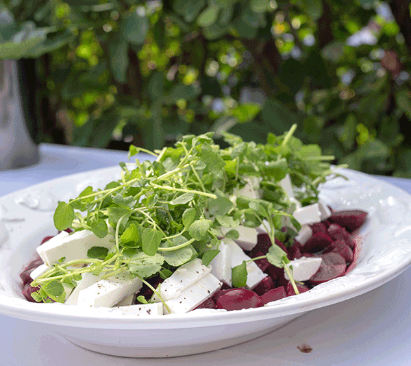 Roast baby beetroot, feta, walnut salad