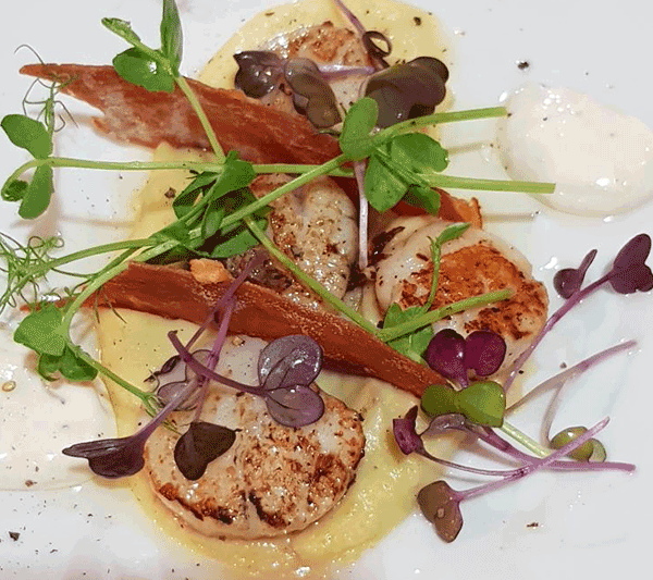 Seared scallops, parsnip puree Wheeler Hospitality